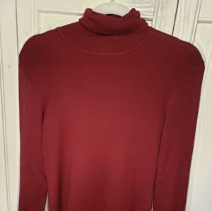 Ann Taylor Silk Turtleneck Sweater
